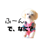 愛犬達のスタンプワールドpart2（個別スタンプ：2）