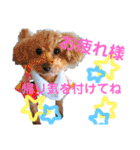 愛犬達のスタンプワールドpart2（個別スタンプ：5）
