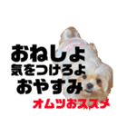 愛犬達のスタンプワールドpart2（個別スタンプ：12）