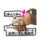 愛犬達のスタンプワールドpart2（個別スタンプ：16）