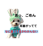 愛犬達のスタンプワールドpart2（個別スタンプ：17）