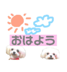 愛犬達のスタンプワールドpart2（個別スタンプ：18）