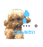 愛犬達のスタンプワールドpart2（個別スタンプ：22）