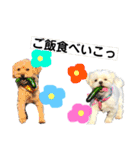 愛犬達のスタンプワールドpart2（個別スタンプ：23）