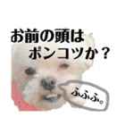 愛犬達のスタンプワールドpart2（個別スタンプ：26）