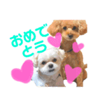 愛犬達のスタンプワールドpart2（個別スタンプ：29）