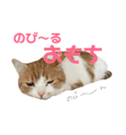 ♡♡くーなん♡♡（個別スタンプ：3）
