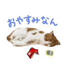 ♡♡くーなん♡♡（個別スタンプ：5）