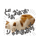 ♡♡くーなん♡♡（個別スタンプ：13）