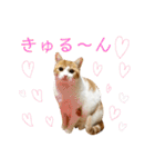♡♡くーなん♡♡（個別スタンプ：15）