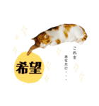 ♡♡くーなん♡♡（個別スタンプ：18）