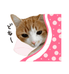 ♡♡くーなん♡♡（個別スタンプ：27）