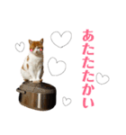 ♡♡くーなん♡♡（個別スタンプ：31）