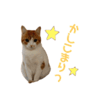 ♡♡くーなん♡♡（個別スタンプ：35）