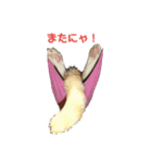 にゃんずの日々（個別スタンプ：2）