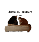 にゃんずの日々（個別スタンプ：4）