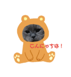にゃんずの日々（個別スタンプ：6）