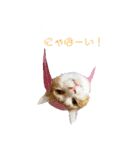 にゃんずの日々（個別スタンプ：9）