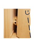 もこもこモコ丸1（個別スタンプ：1）