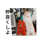 もこもこモコ丸1（個別スタンプ：7）