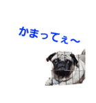 つきぽん（個別スタンプ：6）
