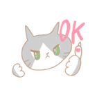 ねこ まいにち（個別スタンプ：1）