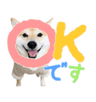 使いやすい！敬語わんこ（個別スタンプ：1）