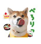 使いやすい！敬語わんこ（個別スタンプ：29）