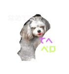うるたん3（個別スタンプ：3）