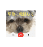 うるたん3（個別スタンプ：11）