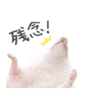 ハリネズミのノエル（個別スタンプ：11）