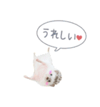 ハリネズミのノエル（個別スタンプ：12）