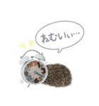 ハリネズミのノエル（個別スタンプ：14）