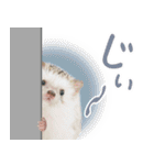 ハリネズミのノエル（個別スタンプ：16）