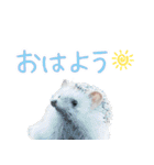 ハリネズミのノエル（個別スタンプ：17）