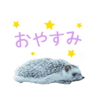 ハリネズミのノエル（個別スタンプ：18）