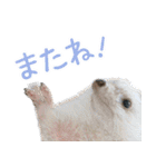 ハリネズミのノエル（個別スタンプ：19）