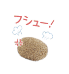 ハリネズミのノエル（個別スタンプ：22）