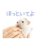 ハリネズミのノエル（個別スタンプ：28）