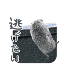 ハリネズミのノエル（個別スタンプ：35）