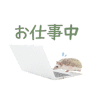 ハリネズミのノエル（個別スタンプ：39）
