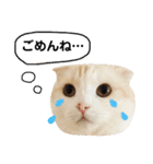 きなもなふきだしスタンプ（個別スタンプ：3）