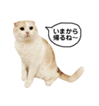 きなもなふきだしスタンプ（個別スタンプ：5）