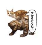 きなもなふきだしスタンプ（個別スタンプ：6）