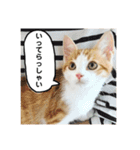 きなもなふきだしスタンプ（個別スタンプ：7）