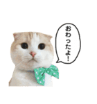 きなもなふきだしスタンプ（個別スタンプ：8）
