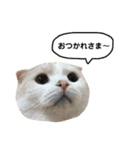 きなもなふきだしスタンプ（個別スタンプ：9）