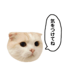 きなもなふきだしスタンプ（個別スタンプ：10）