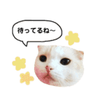 きなもなふきだしスタンプ（個別スタンプ：11）
