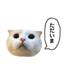 きなもなふきだしスタンプ（個別スタンプ：12）